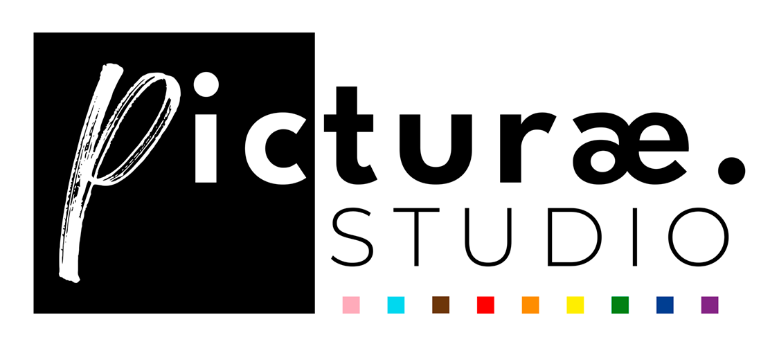 Logo Picturae petit