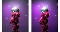 Portrait avec boule à facettes, ambiance festive