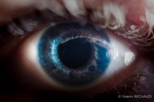 Œil bleu en macro