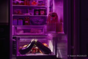 Aubergines en forme de symbole dans un frigo