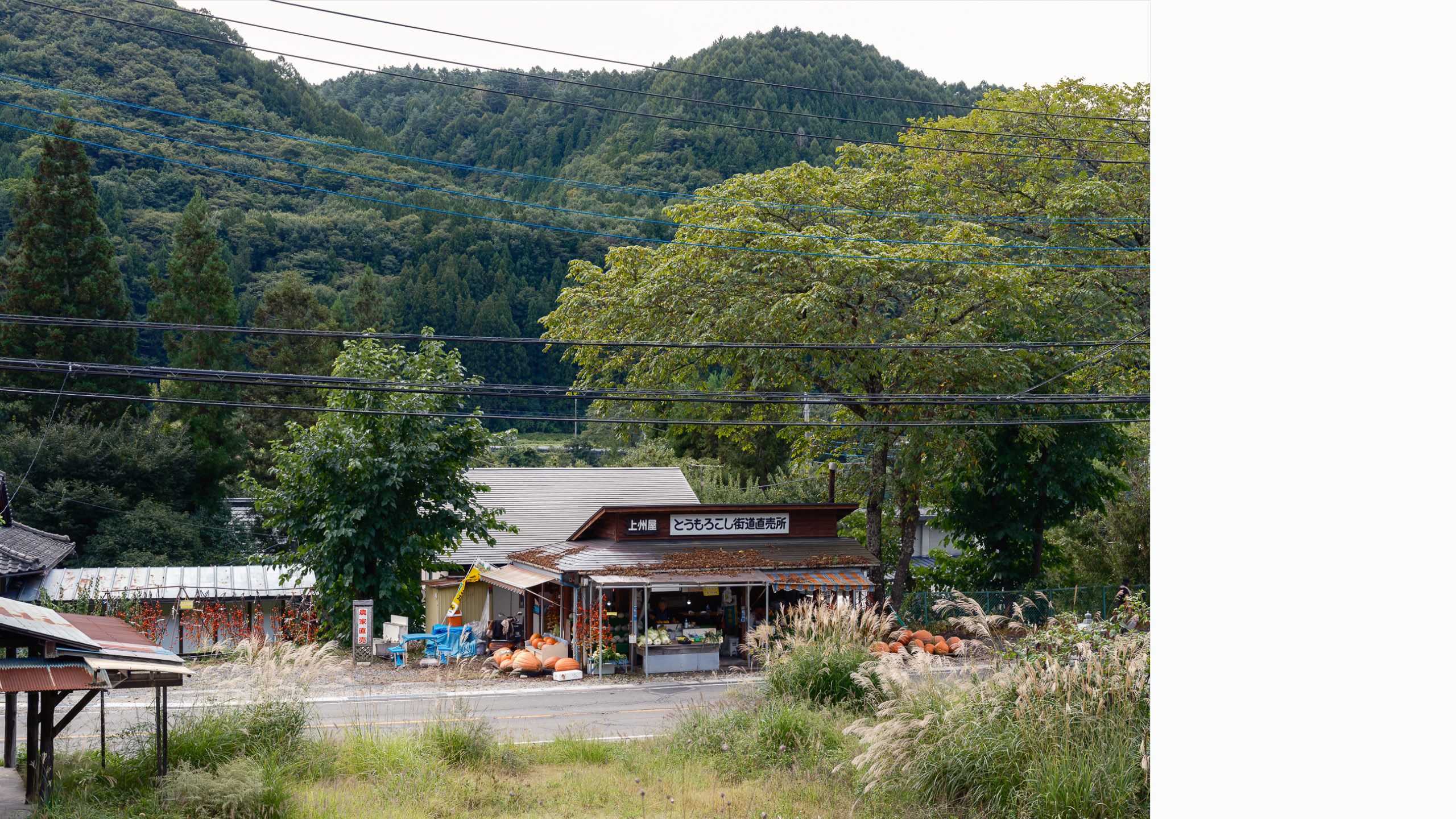 Paysage rural japonais entre campagne, reliefs et fragments de vie