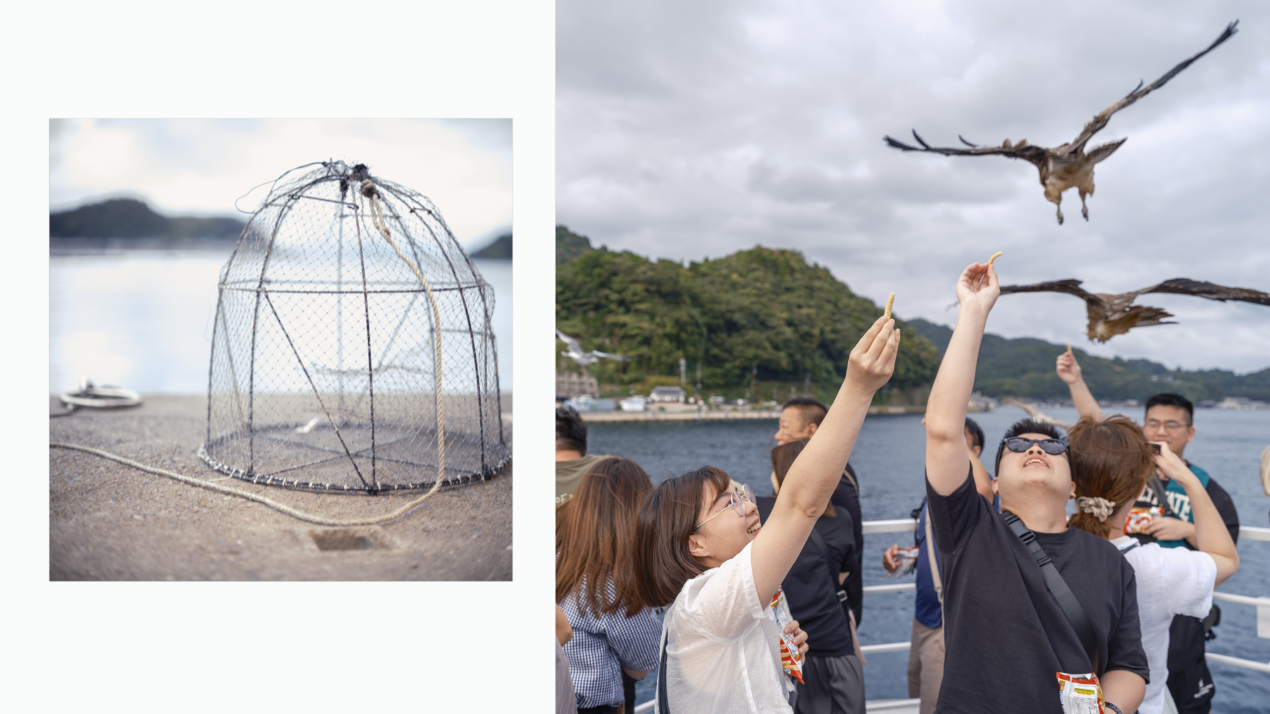 Dialogue visuel entre oiseaux, rapaces et gestes de transmission au bord de l’eau