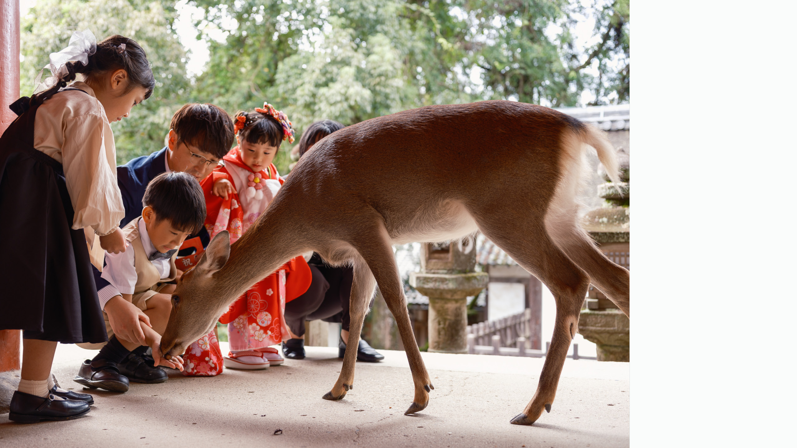 Enfants nourrissant un daim dans un lieu japonais