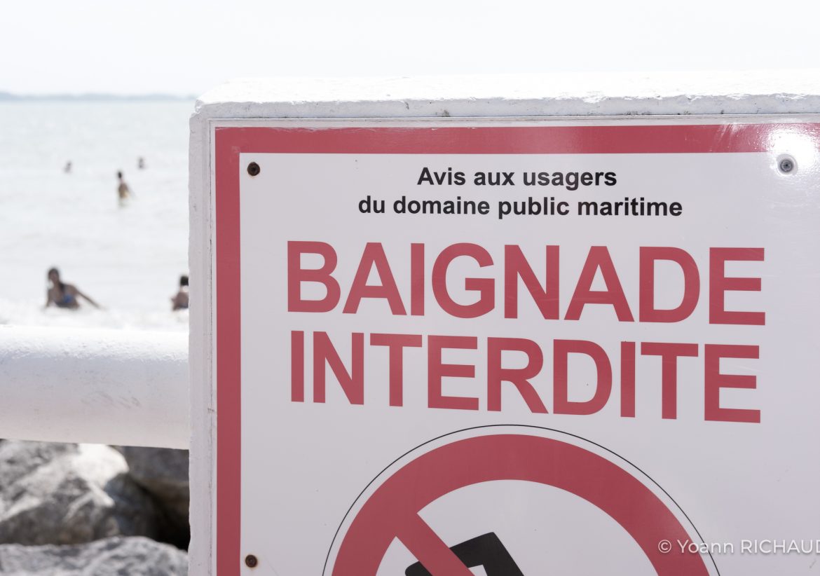 _DSF2304 - Baie de somme