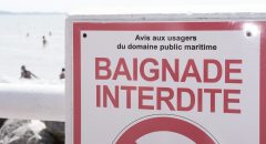 _DSF2304 - Baie de somme