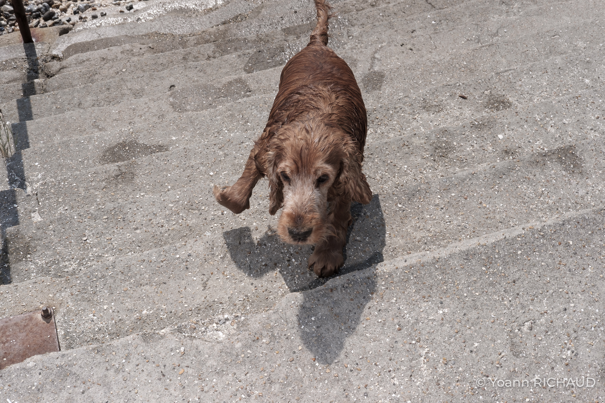 Souvenir de vacances en Baie de Somme