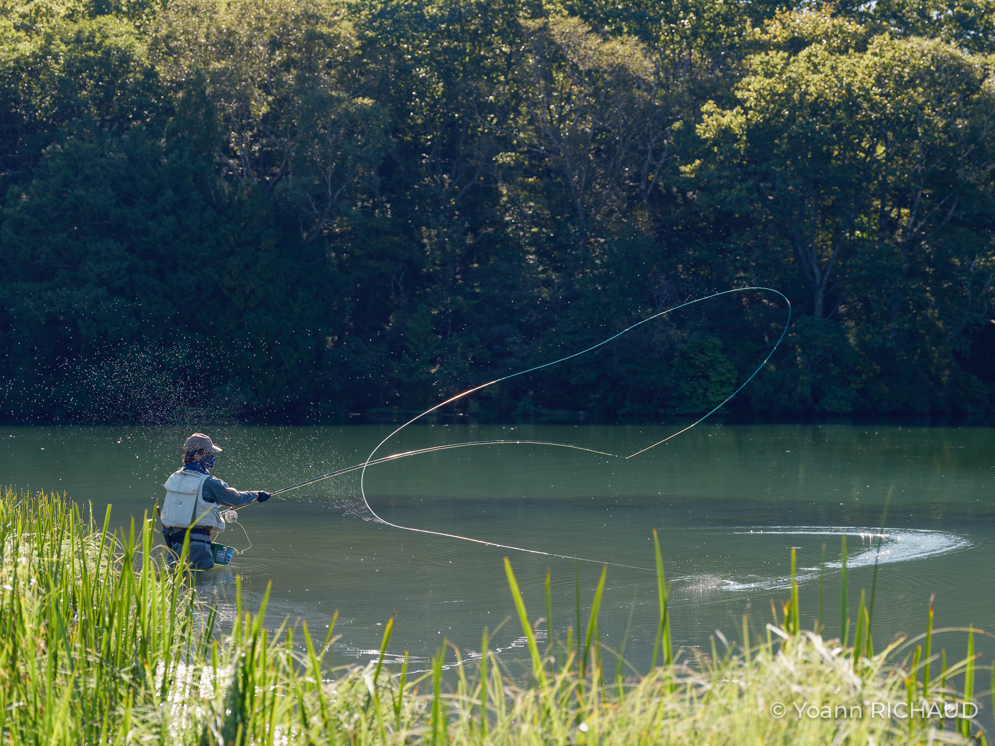 Une personne lance une ligne de pêche au bord d’un étang entouré d’arbres.