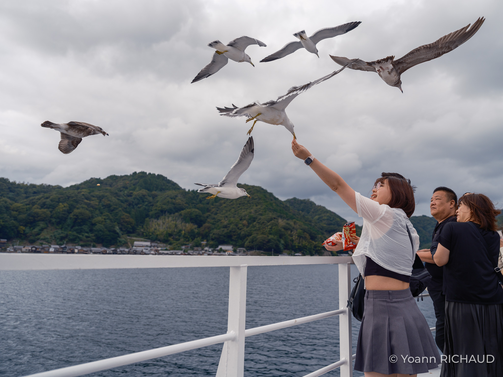 Personnes sur un bateau nourrissant des oiseaux en vol au-dessus de la mer.